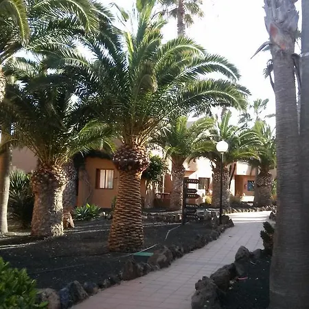 Oasis Apartment *